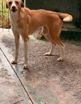 NATY Image 1